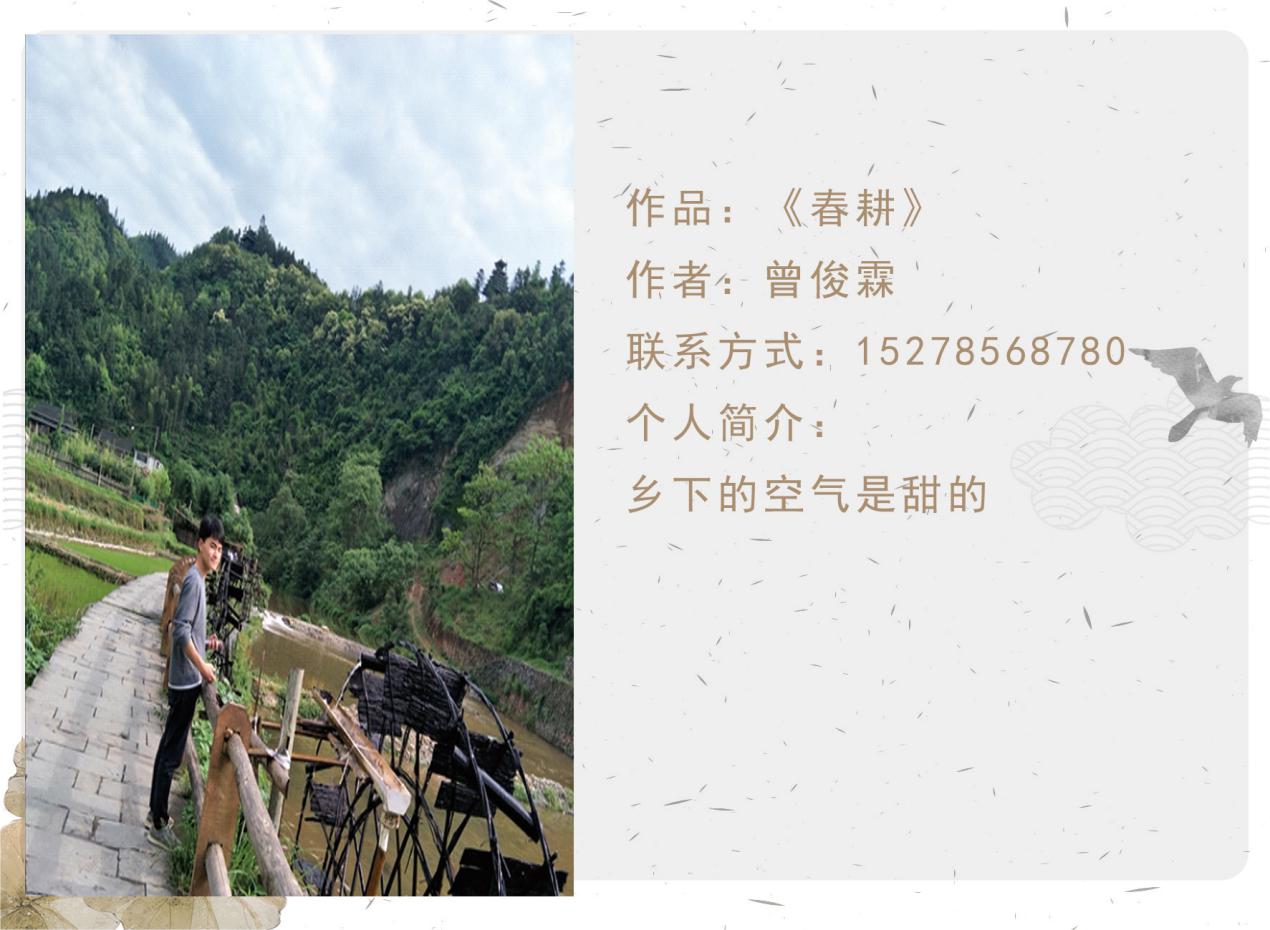 f5966c4f70b64feea693385b9eac4d14.Jpeg