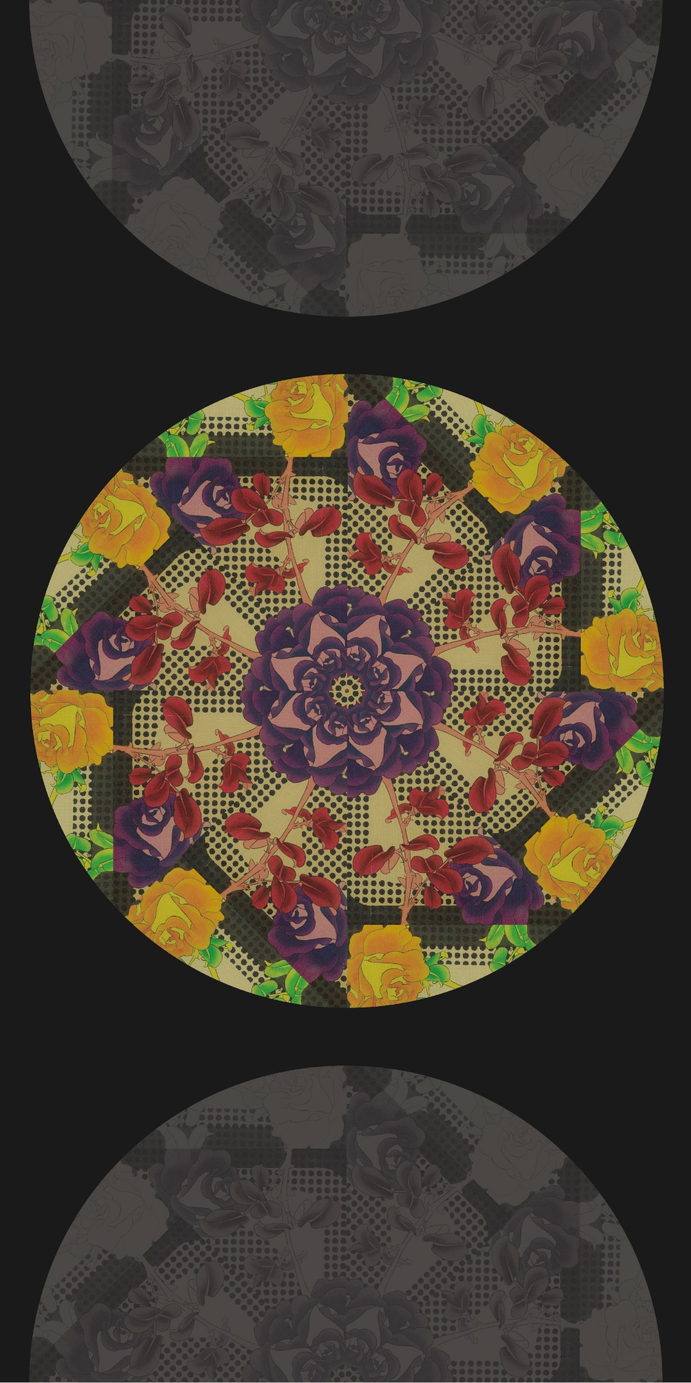 e08e0d2454694b1a99e2e83751f0bfcb.Jpeg